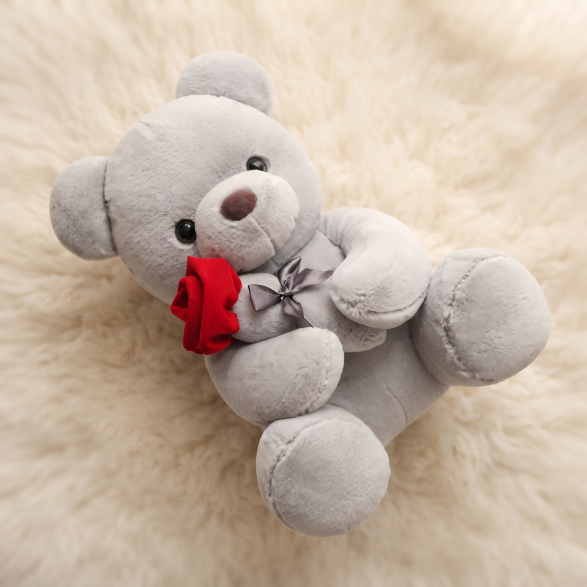 Teddybär mit roter Rose 20 cm